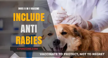 Vaccines: Anti-Rabies Included in 5-in-1 Shot?