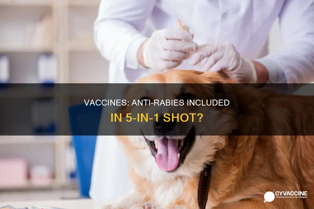 does 5 in 1 vaccine include anti rabies