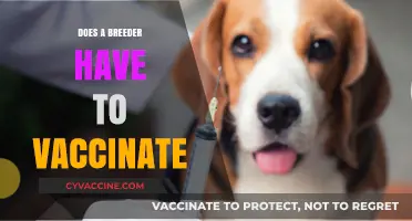 Breeder Vaccination Responsibility: Legal and Ethical Obligations Explained