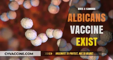 Exploring the Possibility of a Candida Albicans Vaccine: Current Research and Developments