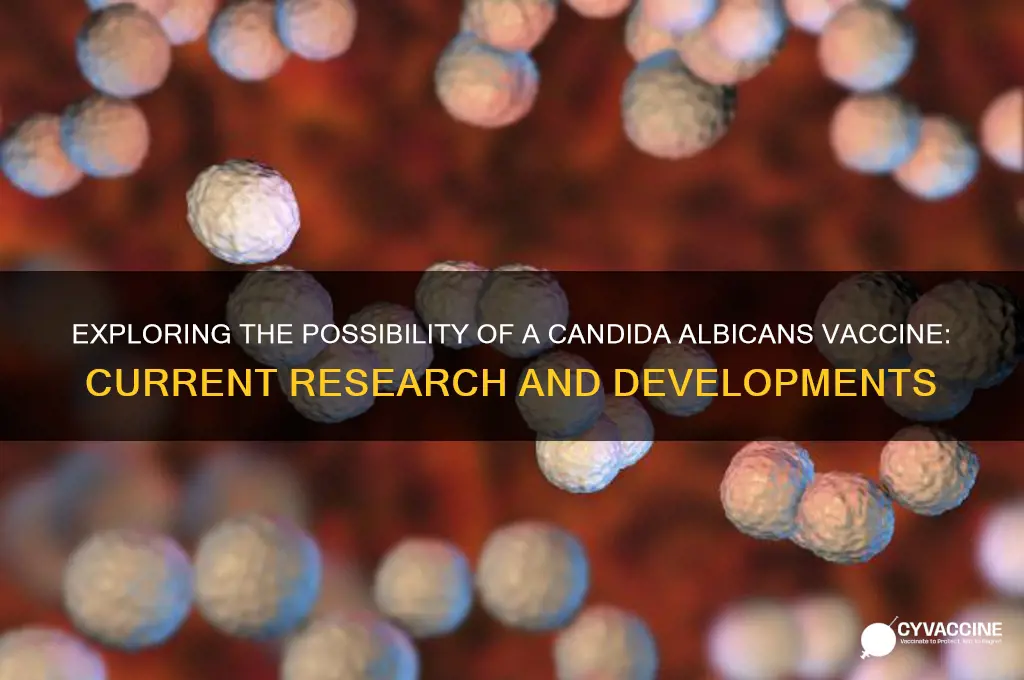 does a candida albicans vaccine exist