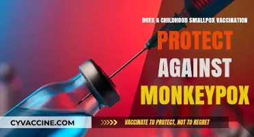 Smallpox Vaccination: Shield Against Monkeypox?