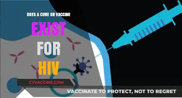 HIV Cure or Vaccine: What's the Status?