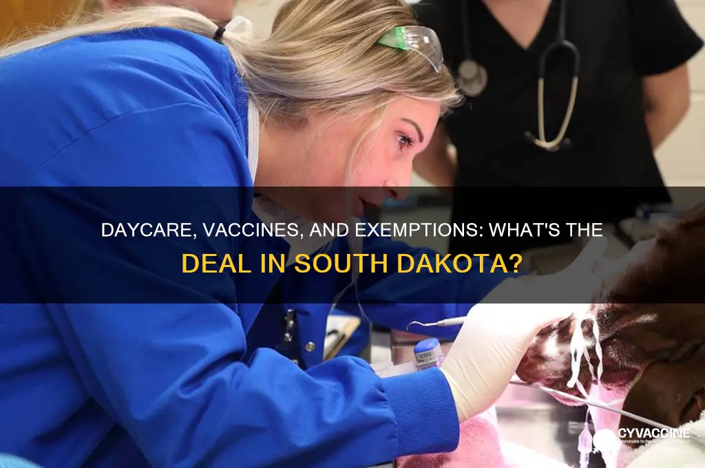 does a daycare have to accept vaccine exemptions south dakota