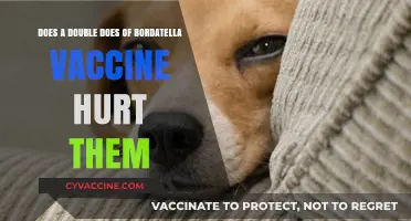Bordatella Vaccine: Are Double Doses Harmful?