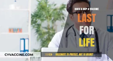 Hep A Vaccine: Lifetime Immunity or Booster Needed?