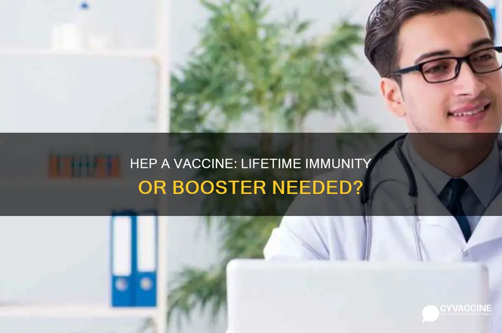 does a hep a vaccine last for life