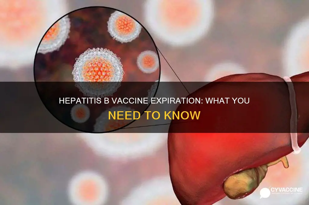 does a hep b vaccine expire