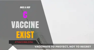 Hepatitis C Vaccine: Current Status and Future Prospects Explained