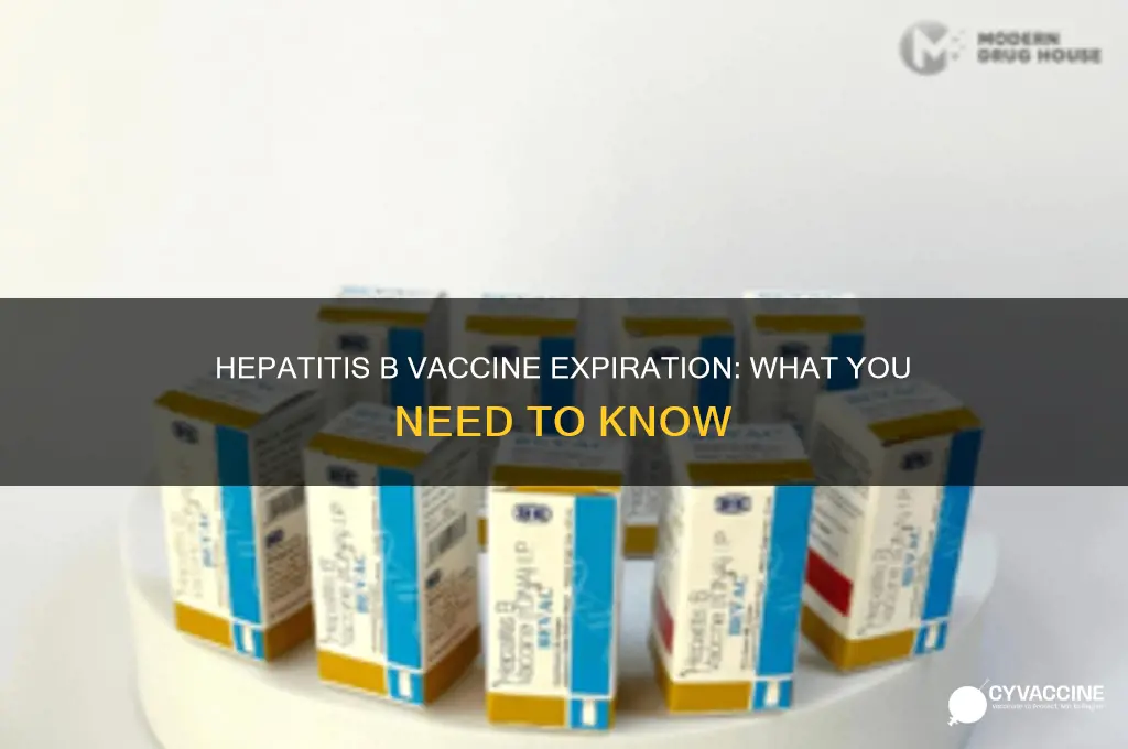 does a hepatitis b vaccine expire