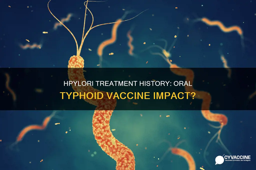 does a history of hpylori treatment affect oral typhoid vaccine