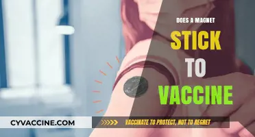 Do Magnets Stick to Vaccines? Debunking the Myth Explained