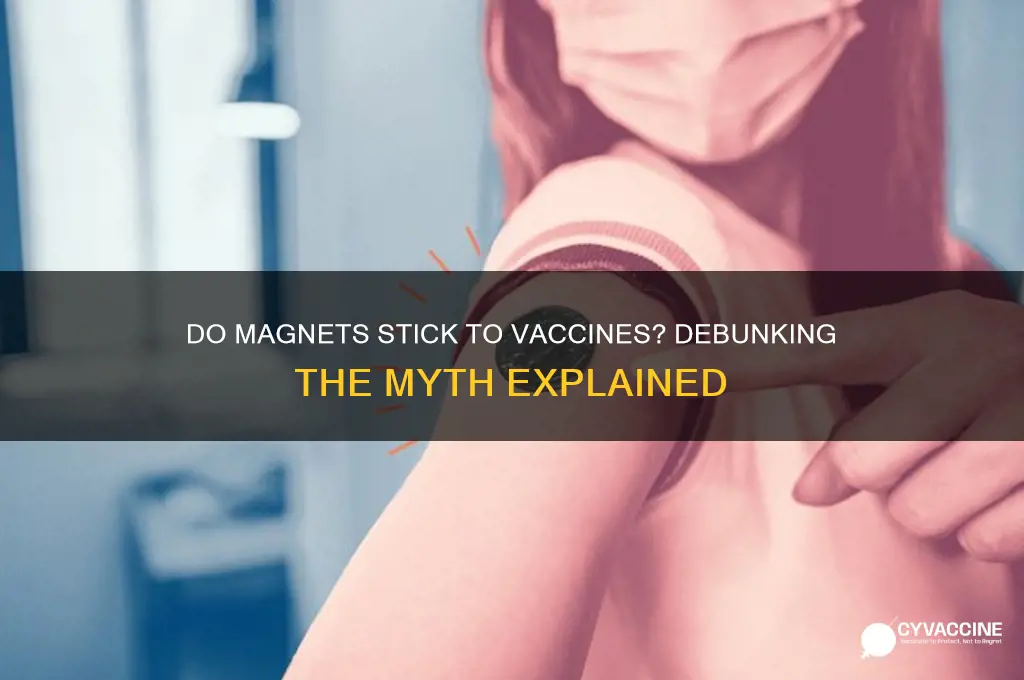 does a magnet stick to vaccine