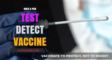 PCR Tests and Vaccines: Understanding Their Distinct Roles in COVID-19 Detection