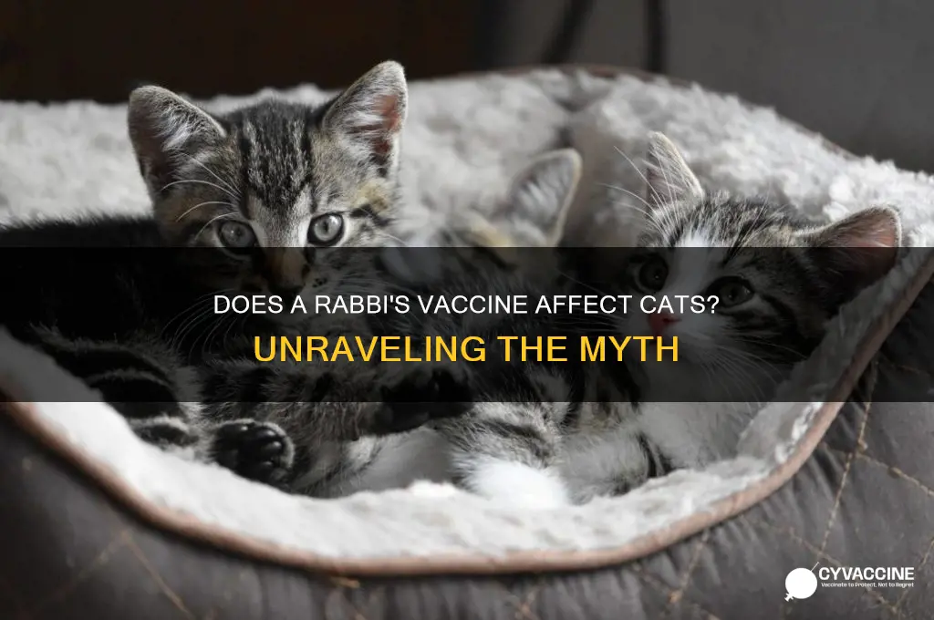 does a rabbis vaccine tire cats