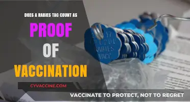 Rabies Tag: Proof of Vaccination or Not?