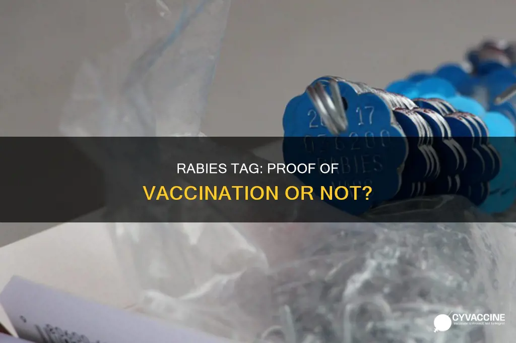 does a rabies tag count as proof of vaccination