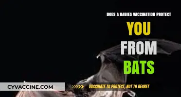 Rabies Vaccination: Protection Against Bats?