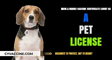 Rabies Vaccine Certificate: A Valid Pet License?
