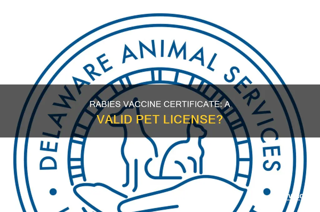 does a rabies vaccine certificate count as a pet license