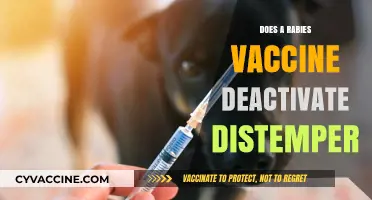 Rabies Vaccine vs. Distemper: Does One Deactivate the Other?