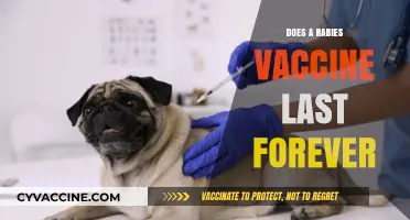 Rabies Vaccine Longevity: Does Protection Last a Lifetime?