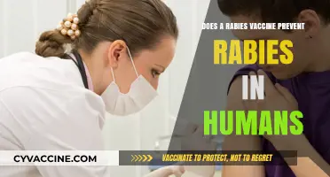 Rabies Vaccine: Effective Shield Against Rabies in Humans