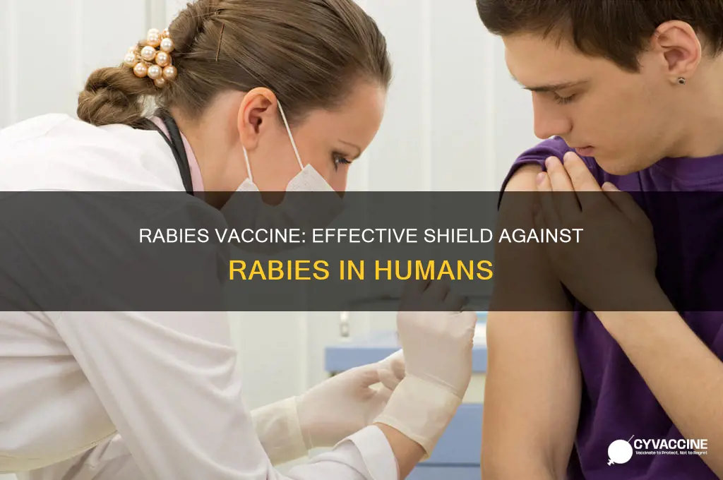 does a rabies vaccine prevent rabies in humans