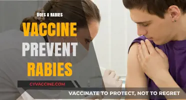 Rabies Vaccine: Effective Prevention or Just a Temporary Shield?
