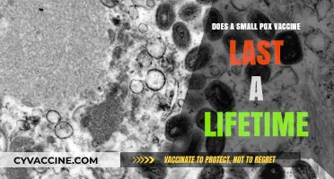 Smallpox Vaccine: Lifetime Immunity or Not?