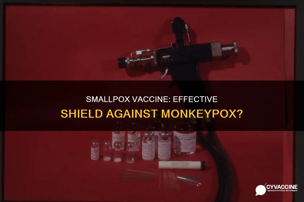 does a small pox vaccine protect against monkey pox