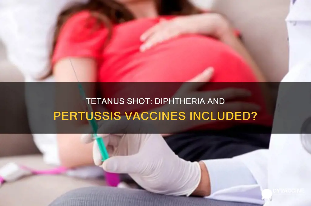 does a tetanus shot have diphtheria and pertussis vaccines