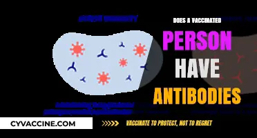 Vaccinated Individuals: Understanding Antibody Presence and Immune Response