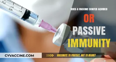 Vaccines: Active vs. Passive Immunity