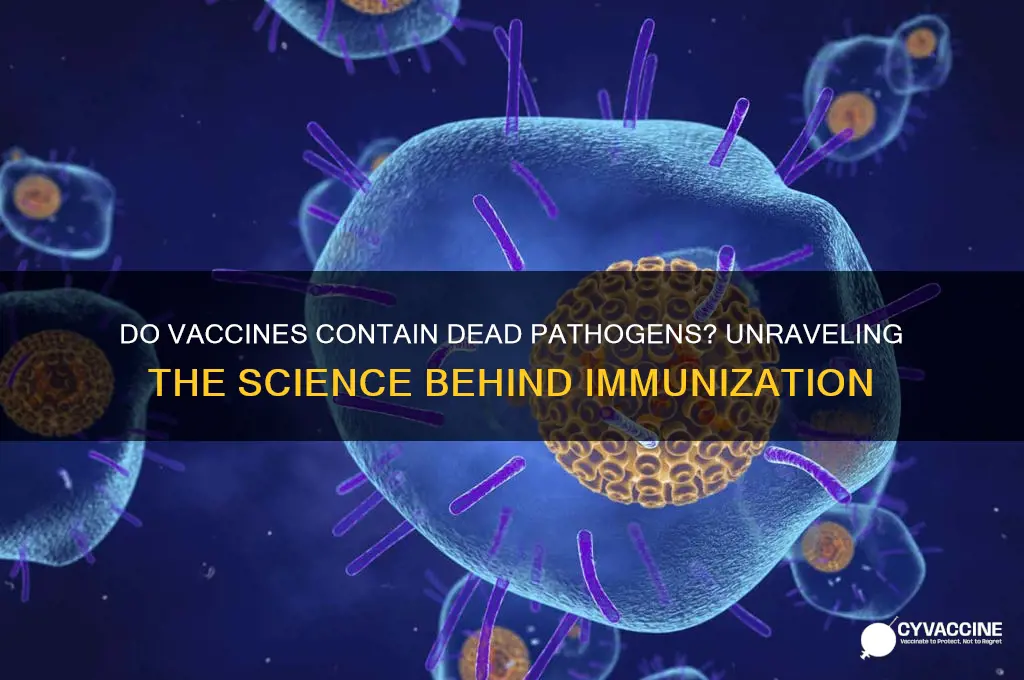 does a vaccine contain dead pathogens