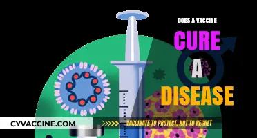 Vaccines Prevent, Not Cure: Understanding Their Role in Disease Control