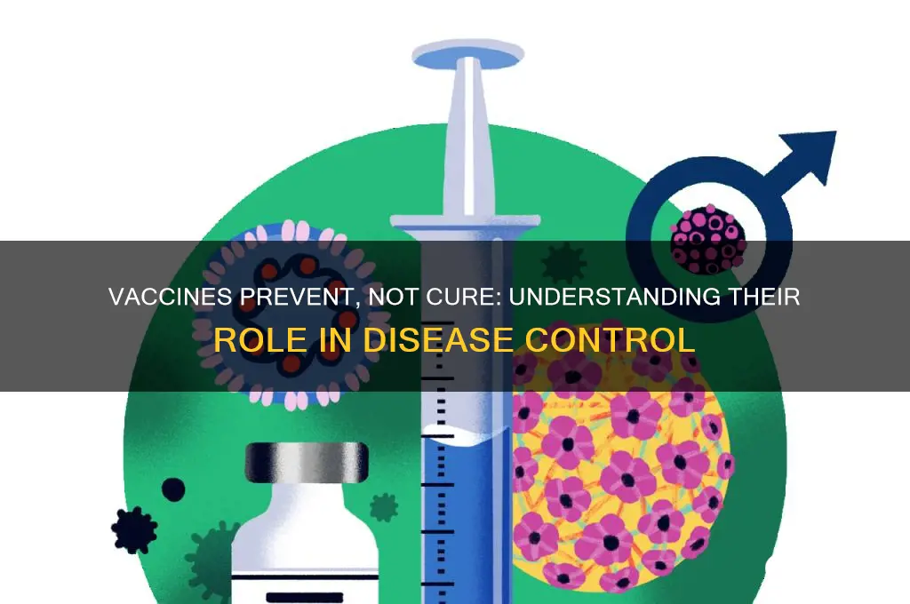 does a vaccine cure a disease