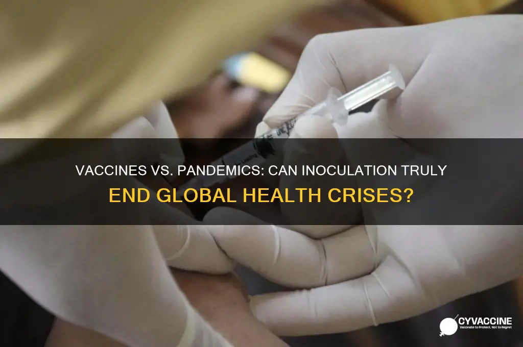 does a vaccine end the pandemic
