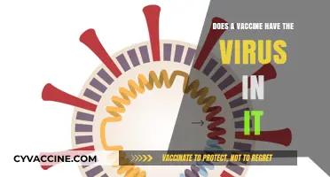 Vaccines: Do They Contain Viruses?