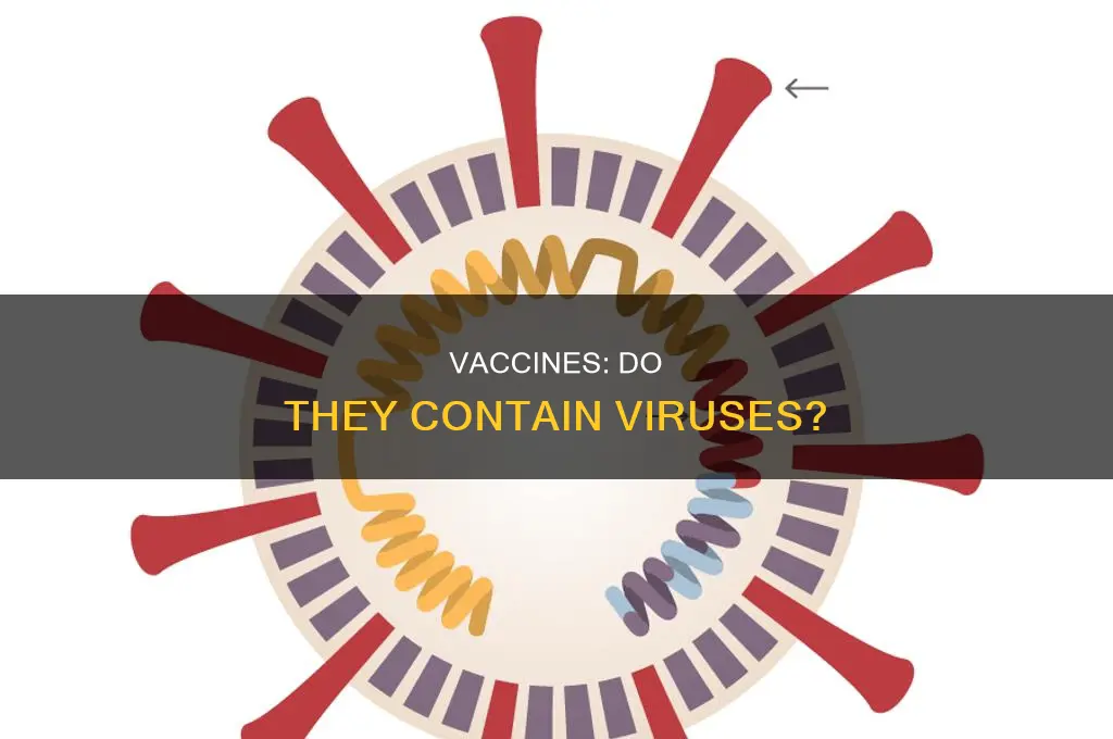 does a vaccine have the virus in it