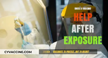 Can Vaccines Still Protect You After Exposure to a Virus?