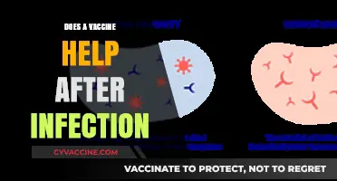 Vaccine Post-Infection: Boosting Immunity or Redundant Protection?
