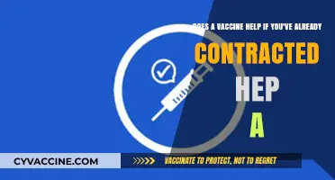 Hep A Vaccine: Necessary After Infection?