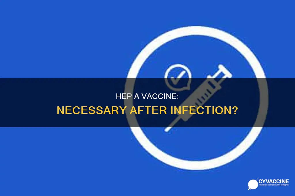 does a vaccine help if you