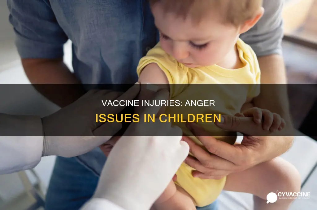 does a vaccine injured child have anger problems