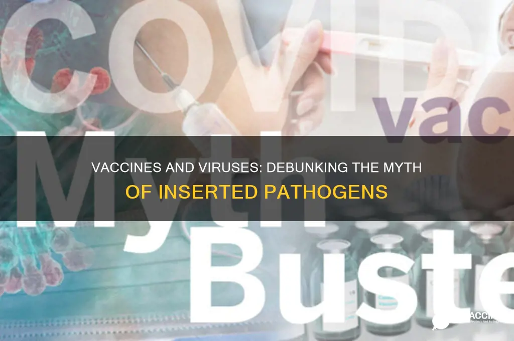 does a vaccine insert a virus