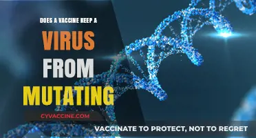 Vaccines and Virus Mutations: What's the Connection?