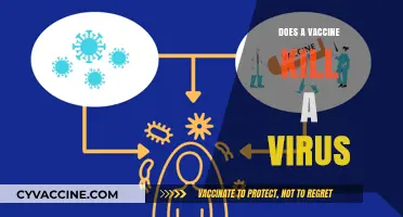 Do Vaccines Kill Viruses? Understanding How Immunization Works