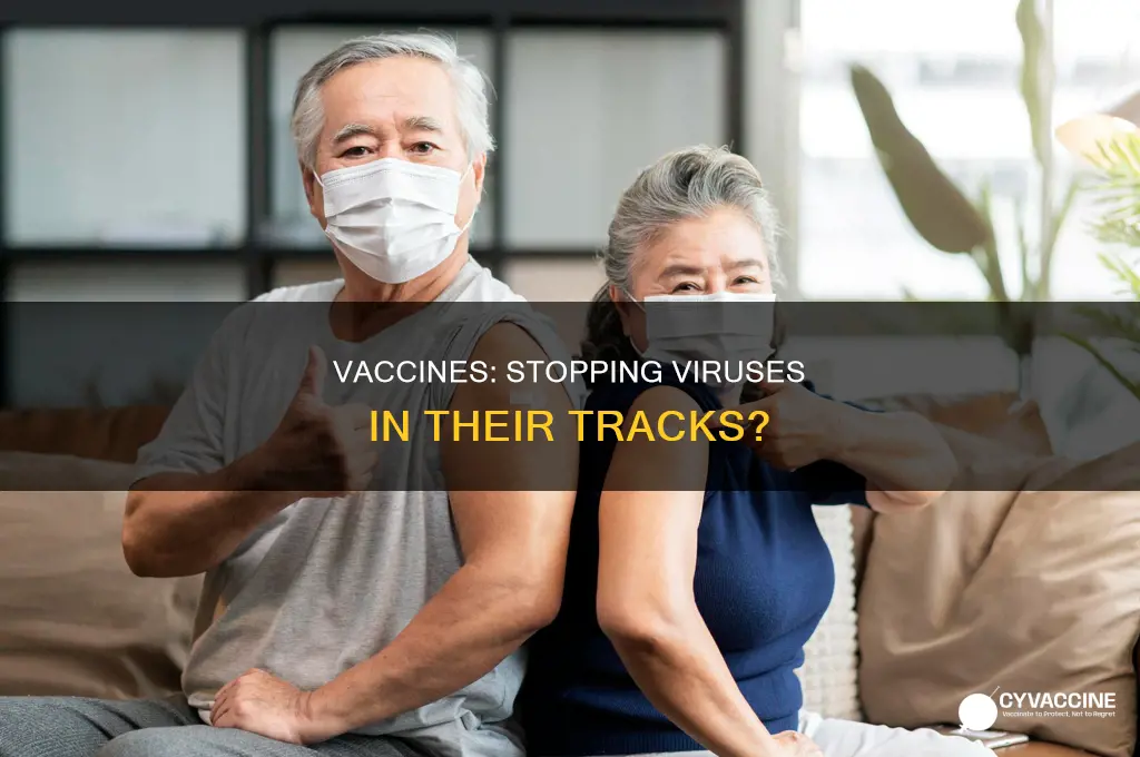 does a vaccine prevent spread of a virus