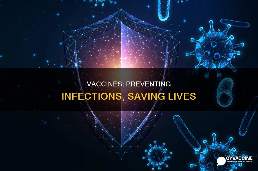 does a vaccine prevent you from contracting a virus